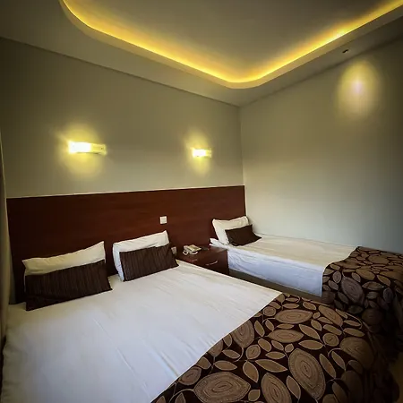 호텔 Santral 4*